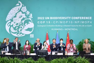 Delegates applaud the the adoption of the Kunming-Montreal Global Biodiversity Framework at the UN biodiversity conference in Montreal last December.