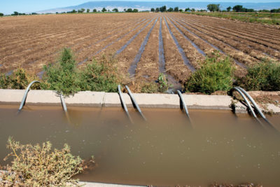 A field in Colorado’s Grand Valley using flood irrigation. This is the cheapest, most common form of irrigation in the area, but it is also the least efficient, using more water than drip irrigation or sprinklers.