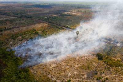 A burning field in the Beng Per Wildlife Sanctuary, in northern Cambodia. Beng Per is a sanctuary in name only as most of the land has been sold by the government for agricultural concessions and rubber plantations.