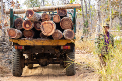 A member of the Prey Lang Community Rangers alongside a truck hauling timber from a protected forest area. Rangers do not have the authority to confiscate illegally harvested logs, but they monitor and report on such activity.