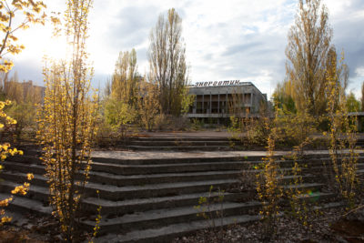 New growth in Prypiat, Ukraine, an abandoned city in the Chernobyl Exclusion Zone.

