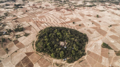 A forest surrounds an Ethiopian Christian Orthodox Tewahedo church in South Gonder, Ethiopia.
