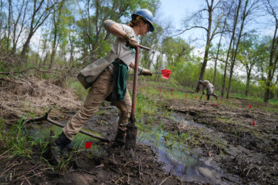 Volunteers plant young trees in a Mississippi floodplain in southeast Minnesota in May 2019. 