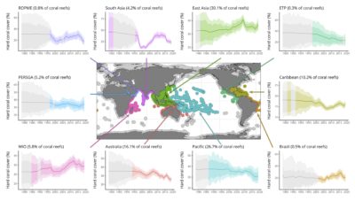 These graphs detail the change in hard coral cover in 10 regions over the last 40 years. After a heatwave killed about 8 percent of living coral in 1998, affected regions made a recovery; now, as temperatures rise, reefs globally are in decline. 