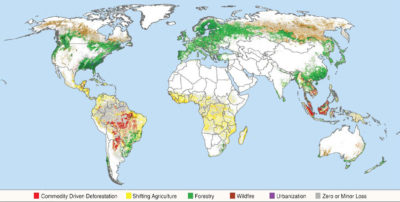 The primary drivers of forest cover loss from 2001 to 2015.