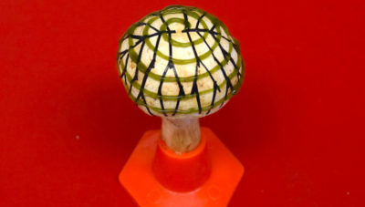 A white button mushroom covered in 3D-printed graphene nanoribbons (black) and cyanobacteria (green).