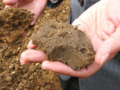 Soil in a long-term experiment appears red when depleted of carbon (left) and dark brown when carbon content is high (right).