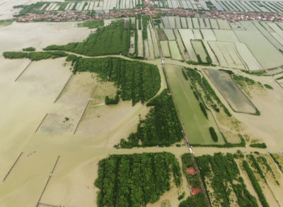 In Java's Demak district, 7 square miles of land has been permanently inundated due to the loss of mangrove forests.