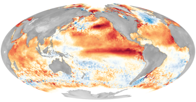The 2016 El Niño. Warmer colors indicate unusually high sea surface temperatures, while cooler colors indicate unusually low sea surface temperatures.