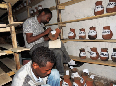 Volunteers label seed storage jars for a community seed bank in northern Ethiopia.