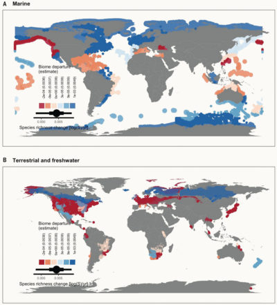 Changes in ecosystems' species richness, with blue representing areas that are increasing in diversity, and red and pink showing areas that are experiencing declines.