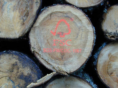Logs certified by the Forest Stewardship Council get stamped with the organization’s logo.
  