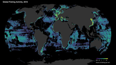 Fishing activity by vessels broadcasting AIS. Fishing hotspots were seen in the Northeast Atlantic and Mediterranean, Northwest Pacific, and in upwelling regions off South America and West Africa. Boundaries or 'holes' in vessel activity show where various fishing regulations apply, such as the exclusive economic zones of island states.