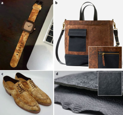 Various fungi-leather products created by the companies MycoTech in Indonesia (photos a &amp; c) and Bolt Threads Inc. in the United States (photos b &amp; d).