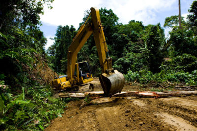 An excavator tears up trees in the Kebar Mountains to expand the Trans-Papua Highway.