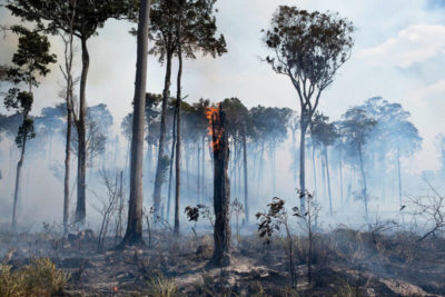 Forest fire in the Amazon in Novo Progresso province, Brazil in August 2020.