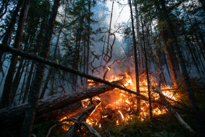 A forest fire on the Denezhkin Kamen Nature Reserve in western Siberia in July, 2020.