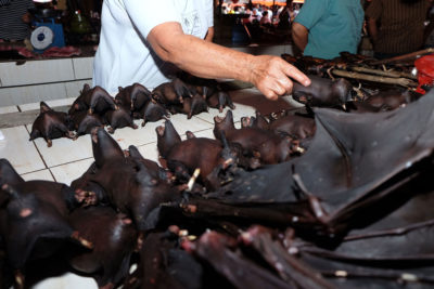 Bats for sale in a market on Sulawesi island in Indonesia in February.