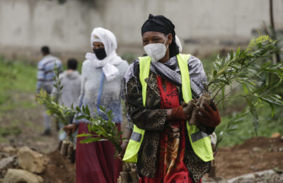 Women participating in Ethiopia’s mass tree-planting campaign in Addis Ababa last June. Ethiopia aimed to plant 5 billion seedlings in three months.
