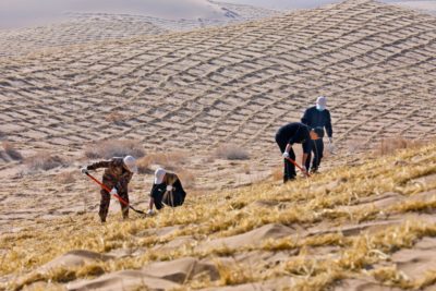 Volunteers plant trees on the edge of the Badain Jaran Desert on China’s Tree-Planting Day on March 12, 2021 in Gansu Province.
