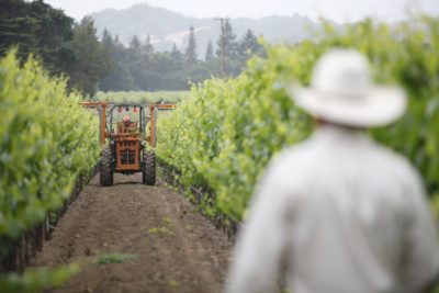 Workers at Hill Family Estate in Napa Valley.
