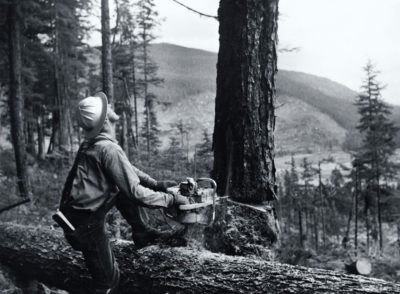 A logger works to fell a Western Hemlock on the Tongass' Prince of Wales Island in 1958.