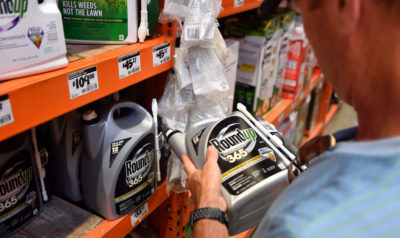 Monsanto's Roundup at a store in San Rafael, California. The product's manufacturer maintains that glyphosate is safe when used as directed.