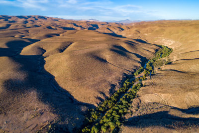 The Gila Box Riparian National Conservation Area, east of Safford, Arizona.