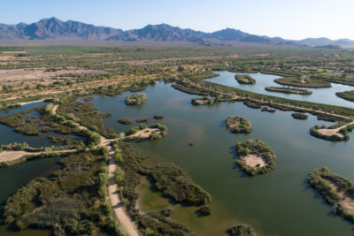 The Tres Rios Wetlands at the intersection of the Gila, Salt and Agua Fria rivers west of Phoenix.