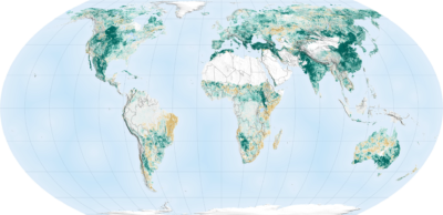 Green areas saw a growth in foliage from 2000 to 2017, while brown areas saw a drop.