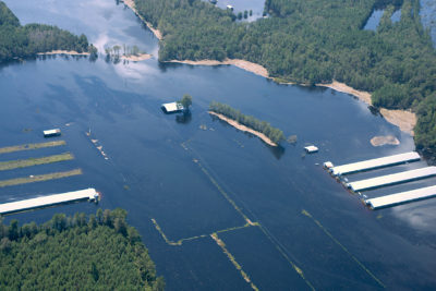 A hog farm in southeast North Carolina flooded by Hurricane Florence in September 2018.