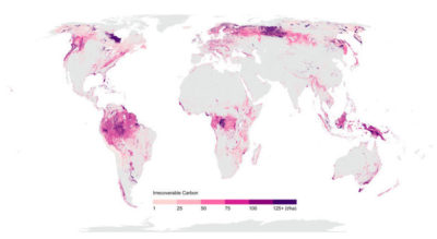A map of irrecoverable carbon across the globe.