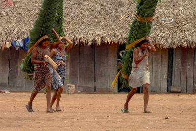 Kayapó women carry bundles of leaves to a village ceremony.