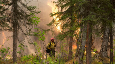 A firefighter stands at the edge of a 2014 fire that burned nearly 200,000 acres of the Kenai refuge. Fire seasons in the refuge are lasting longer and becoming more intense.