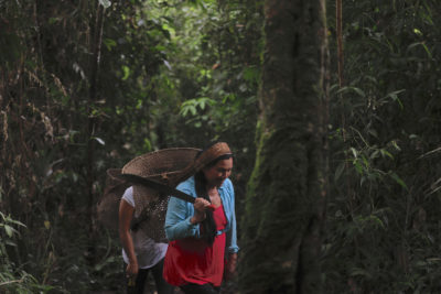 Magdalena Santi, a Native Kichwa, leads her daughter through the forest in Sarayaku, Ecuador.