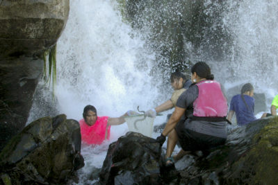 Members of Pacific Northwest tribal nations catch lamprey at Williamette Falls in Oregon.