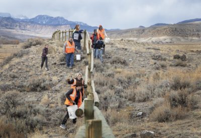 Volunteers modify a wire fence in Wyoming to allow wildlife to pass through.