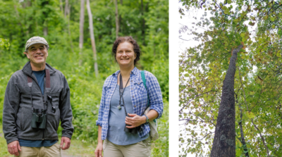 Left: Researchers Jonathan Rosenthal and Radka Wildova. Right: "Lingering ash" number 047 in Tivoli Bays wildlife management area in New York.
