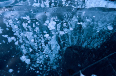 Methane bubbles in a frozen lake in Greenland. 