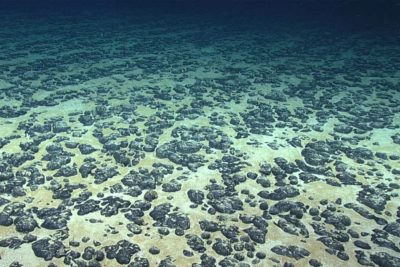 Polymetallic nodules on the seafloor.