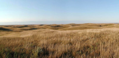 Native prairie in North Dakota.