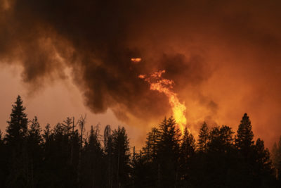 The Oak Fire burns near Mariposa, California, in July 2022. 
