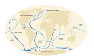 The global ocean circulation system.