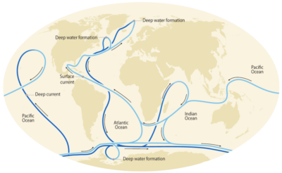 The global ocean circulation system.