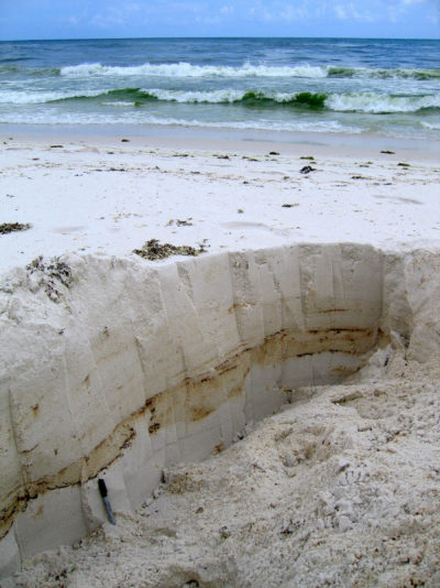 Layers of oil found buried more than 2 feet deep on a beach in Pensacola, Florida.