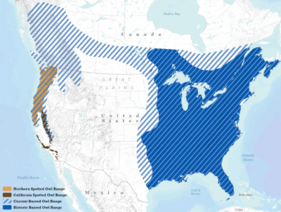 The ranges of barred owls, northern spotted owls, and California spotted owls.