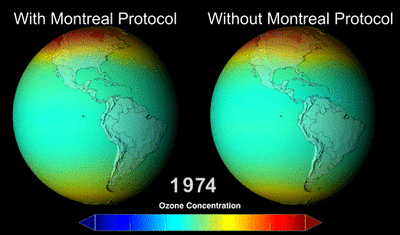 The Montreal Protocol phased out the use of ozone-depleting chemicals. In a world without the Montreal Protocol (right), such chemicals would have depleted the ozone, as shown in this NASA model.
