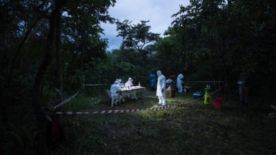 Scientists in search of new viruses collect samples from wildlife in Sierra Leone. 