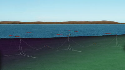 A schematic drawing of a Pelamis wave energy farm, with its semi-submerged devices tethered to the sea floor and connected to land via electric cables. Deployment of wave energy technologies lags far behind that of solar and wind power, but proponents or generating electricity from waves say that it will become a major source of renewable energy over the next several decades.