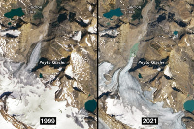 Peyto Glacier in Canada's Banff National Park in August 1999 and August 2021.